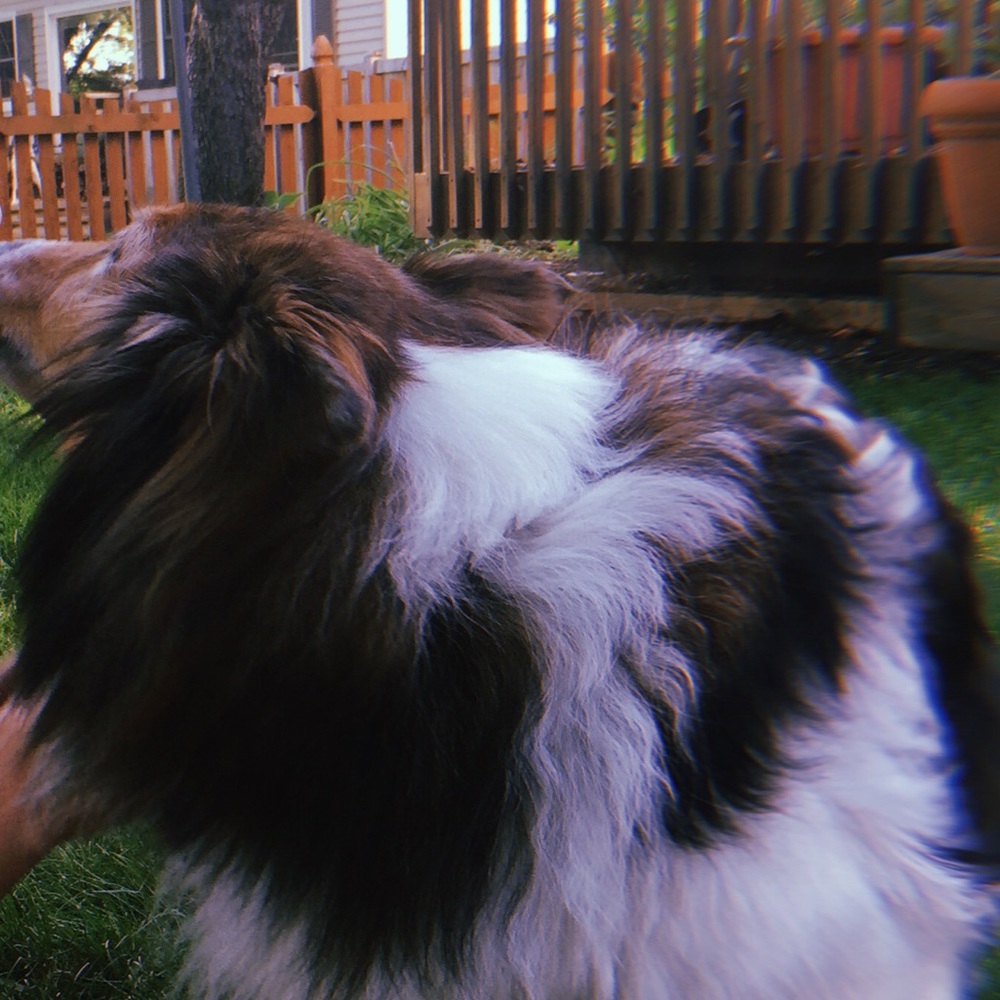 Meet your Posher, Natalie